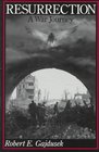 Resurrection A War Journey  A Chronicle of Events During and Following the Attack on Fort Jeanne D'Arc at Metz France by F Company of the 379th Regiment of the