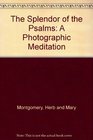The Splendor of the Psalms A Photographic Meditation