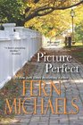 Picture Perfect (Families in Focus)