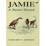 Jamie a Basset Hound