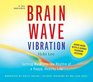 Brain Wave Vibration Audio Book with a Guided Training Session
