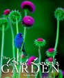 The Bird Lover's Garden