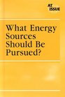 At Issue Series  What Energy Sources Should Be Pursued