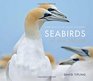 Seabirds of the World Secret Realm of the Oceans' Wanderers