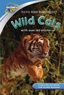 Read and Discover Wild Cats