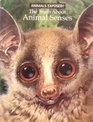 The Truth About Animal Senses