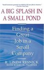A Big Splash in a Small Pond : Finding a Great Job in a Small Company