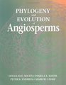 Phylogeny  Evolution of Angiosperms