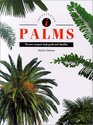 Palms The New Compact Study Guide and Identifier