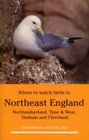 Where to Watch Birds in Northeast England