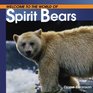 Welcome to the World of Spirit Bears
