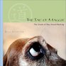 The Tao of Maggie  The Sound of One Hound Barking
