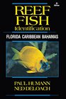 Reef Fish Identification  Florida Caribbean Bahamas  4th Edition