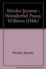 Wonderful Pussy Willows