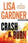 Crash and Burn (Tessa Leoni, Bk 3) (Large Print)