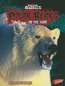 Polar Bears On the Hunt
