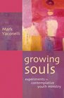 Growing Souls Experiments in Contemplative Youth Ministry