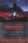 Awareness: The Perils and Opportunities of Reality