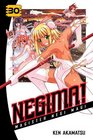 Negima! 30: Magister Negi Magi (Negima!: Magister Negi Magi)