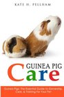 Guinea Pigs The Essential Guide To Ownership Care  Training For Your Pet
