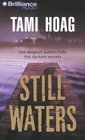 Still Waters (Audio CD) (Abridged)