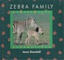 Zebra Family (Animal Family)