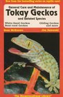 General Care and Maintenance of Tokay Geckos and Related Species