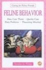 Feline Behavior