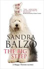 The Big Steep (A Maggy Thorsen Mystery, 14)