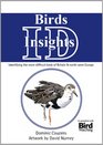 Birds ID Insights Identifying the More Difficult Birds of Britain  NorthWest Europe