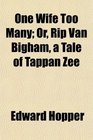 One Wife Too Many Or Rip Van Bigham a Tale of Tappan Zee