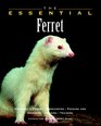 The Essential Ferret