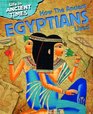 How the Ancient Egyptians Lived
