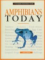 Amphibians Today A Complete Authoritative Guide