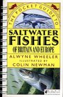 The Pocket Guide to Saltwater Fish of Britain and Europe