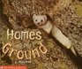 Homes in the Ground (Science Emergent Readers)