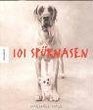 101 Sprnasen