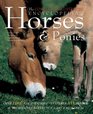 The Complete Illustrated Encyclopedia of Horses and Ponies Authoritative Reference Care and ID Manual