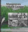 Mangroves to Major League: A Timeline of St. Petersburg, Florida