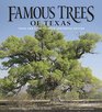 Famous Trees of Texas Texas AM Forest Service Centennial Edition