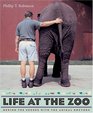 Life at the Zoo  Behind the Scenes with the Animal Doctors