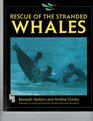 Rescue Of The Stranded Whales