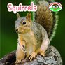 Squirrels