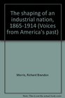 The shaping of an industrial nation 18651914