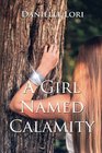 A Girl Named Calamity (Alyria) (Volume 1)