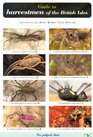 Guide to Harvestmen of the British Isles