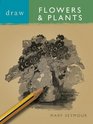 Draw Flowers  Plants