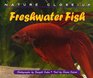 Nature CloseUp  Freshwater Fish