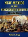 New Mexico in the Nineteenth Century A Pictorial History