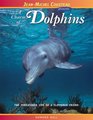 A Charm of Dolphins The Threatened Life of a Flippered Friend
